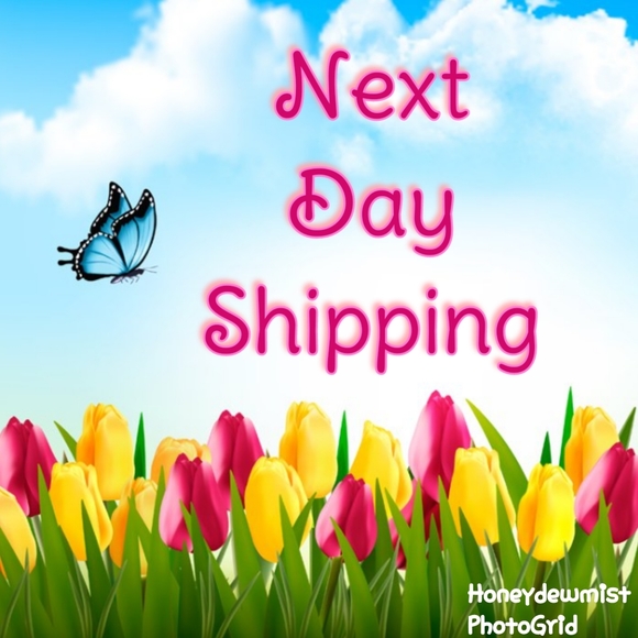 🌻Fast Shipping🌻 - Picture 5 of 9